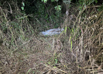 Crime brutal: Dois corpos são encontrados em sacos de areia no Pedra 90