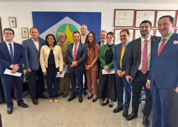 Deputados e bancada federal discutem futuro do fornecimento de energia em Mato Grosso