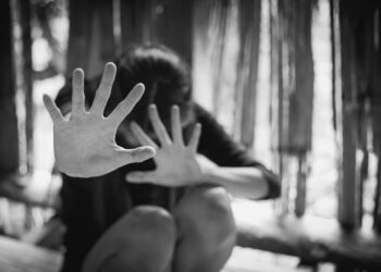 Direitos Humanos e minorias - mulheres - violência contra a mulher - Lei Maria da Penha