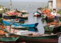 Vários barcos de pescadores