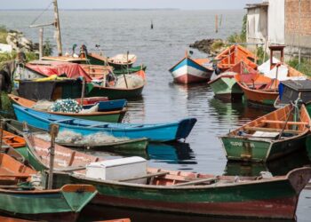 Vários barcos de pescadores