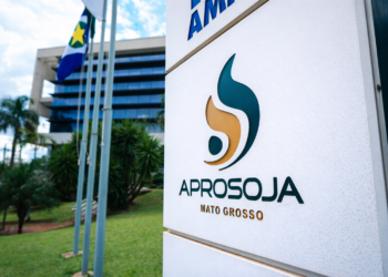 STF abre caminho para conciliação entre produtores e tradings na ação que julga os efeitos da Moratória da Soja