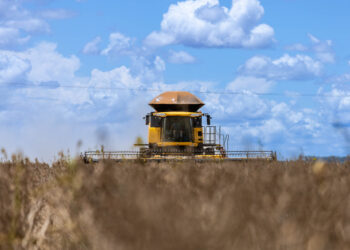 Aprosoja MT destaca importância do campo para toda a sociedade no Dia Mundial da Agricultura