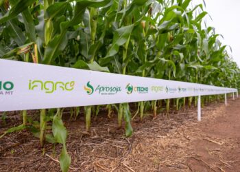 Visitas técnicas nos CTECNOS apresentam pesquisas aplicadas ao campo em Mato Grosso