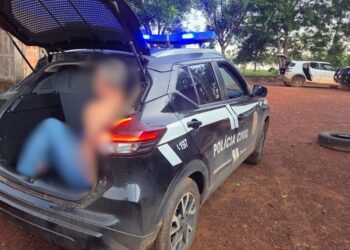 Polícia Civil deflagra operação “Curral do Crime” e prende suspeito de furto de gado em Jaciara