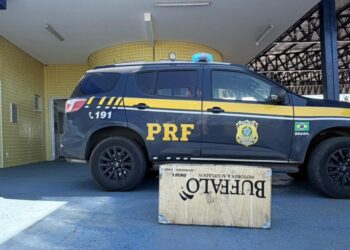 PRF apreende 10 kg de skunk durante fiscalização na BR-364 em Alto Garças
