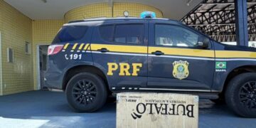 PRF apreende 10 kg de skunk durante fiscalização na BR-364 em Alto Garças