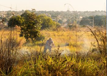 Município de Rondonópolis se prepara para previsão de seca extrema e altas temperaturas